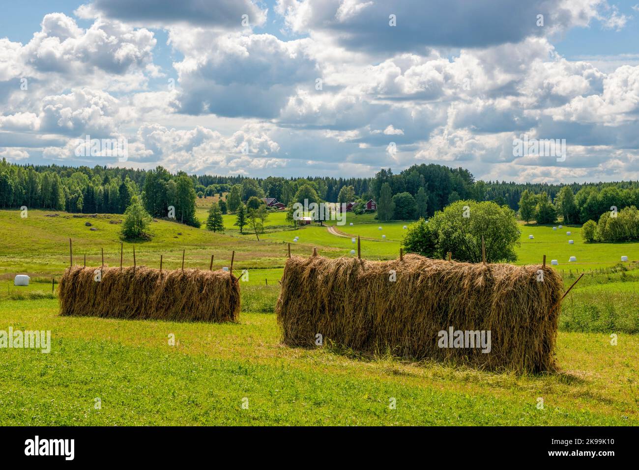 Heuwagen Östergötland, Schweden Stockfoto