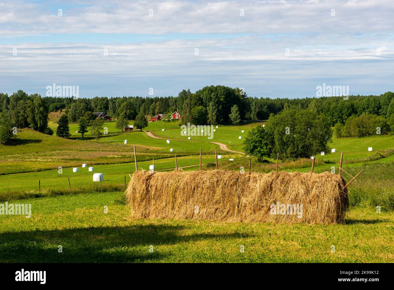 Heuwagen Östergötland, Schweden. Felder und Bauernhof im Hintergrund Stockfoto