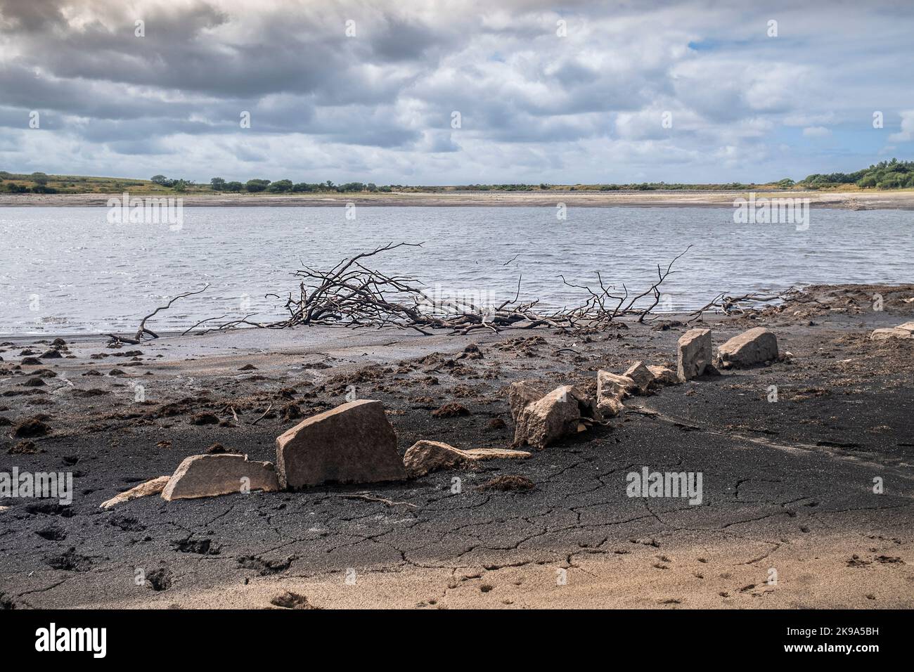 Dürrezustände und rückläufige Wasserstände, die die Überreste einer alten Mauer und skelettbefallenen Bäumen im Colliford Lake Reservoir auf Bodmin Moor in freilegen Stockfoto