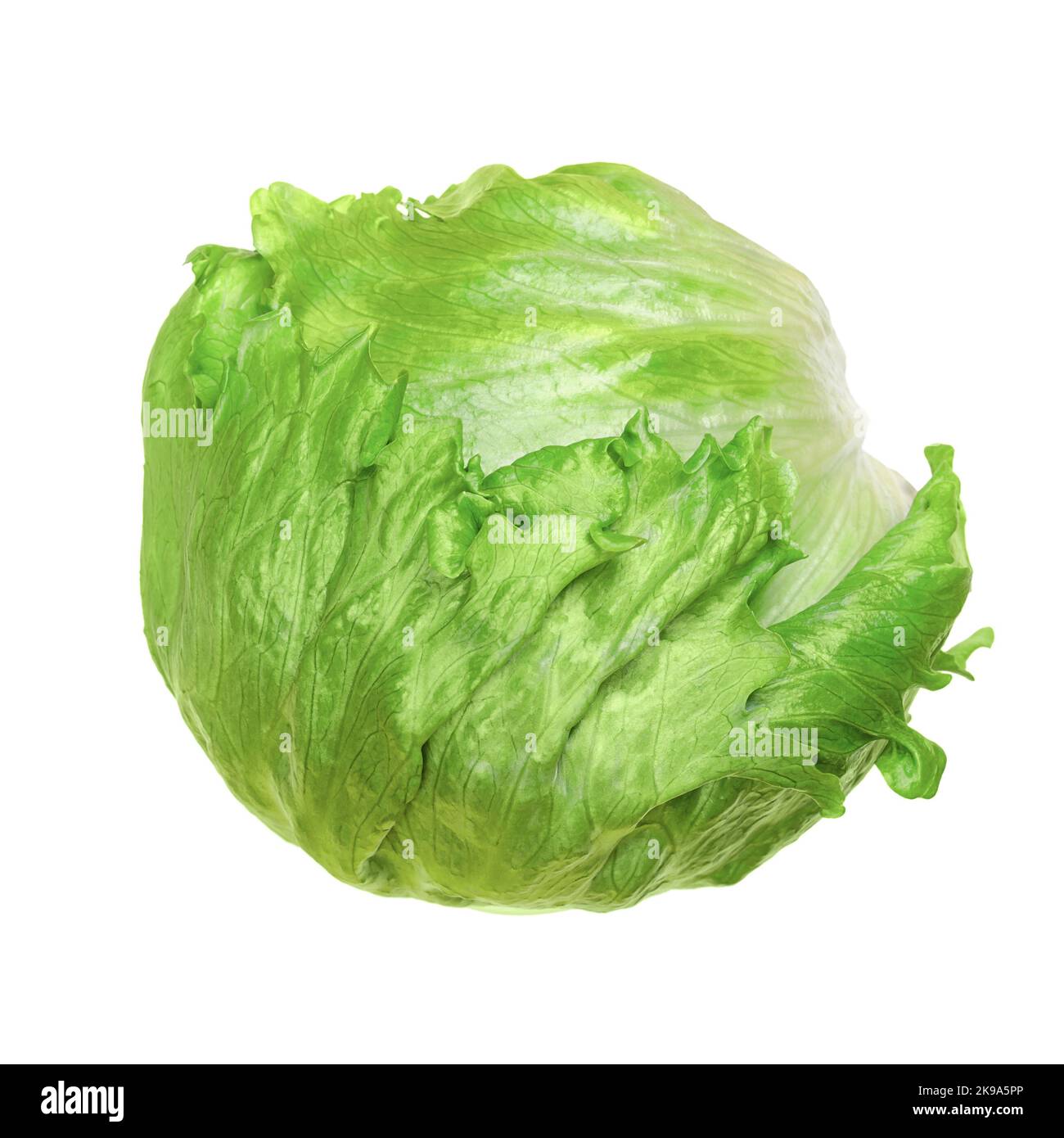 Eisbergsalat oder Knusperkopf, isoliert, von oben, auf weißem Hintergrund. Frischer, hellgrüner Salatkopf, manchmal auch Kohlsalat genannt. Stockfoto