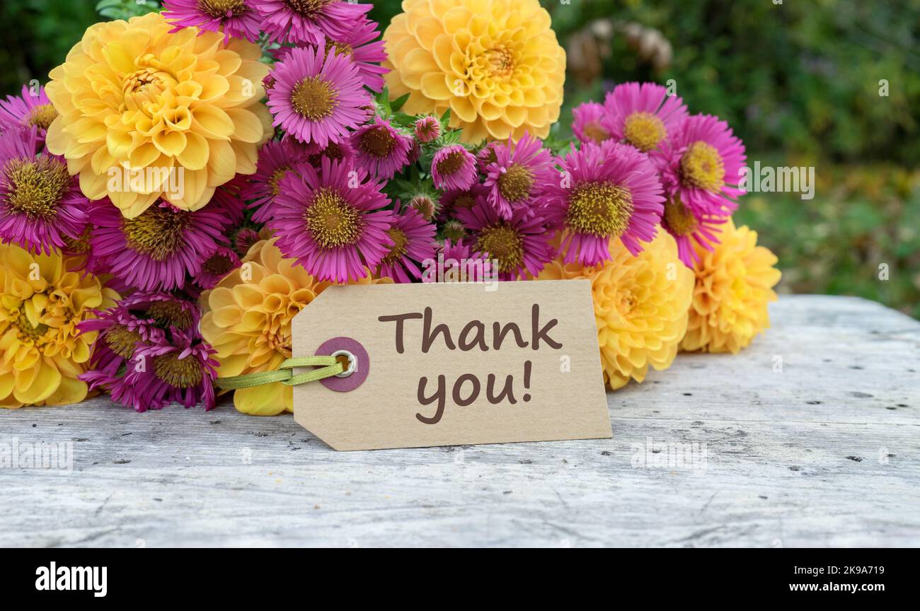 Danke Wünsche Ich Dir Auch Englisch Danke, ich danke dir -Fotos und -Bildmaterial in hoher Auflösung – Alamy