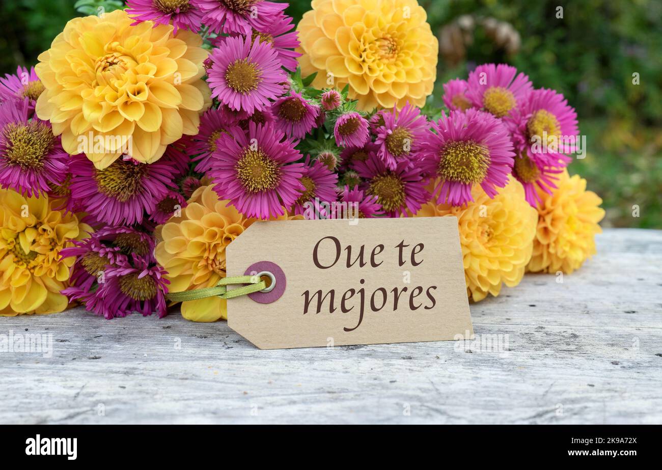 Grußkarte mit einem Strauß Herbstblumen und dem Text auf spanisch: Get well Stockfoto