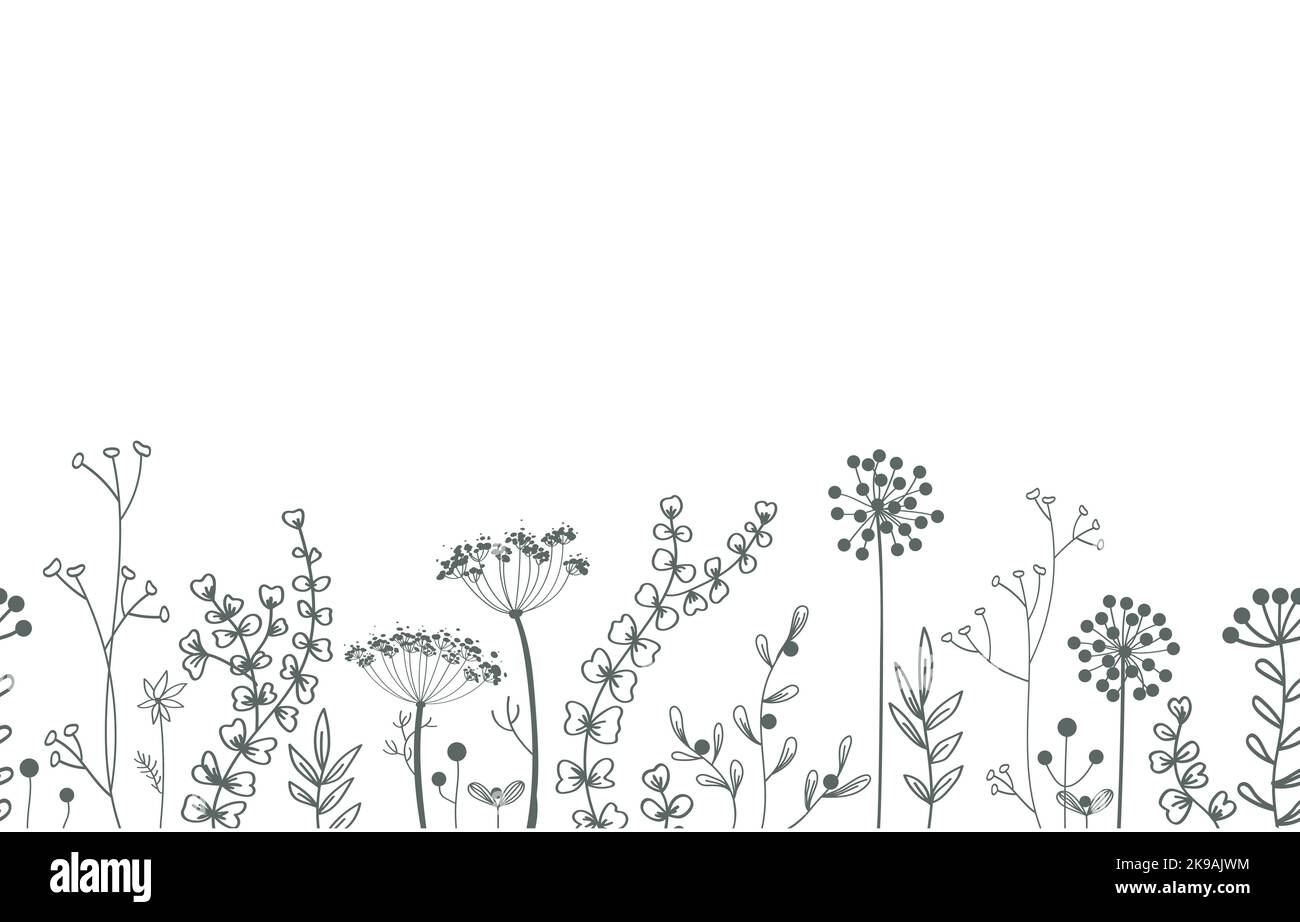 Nahtlose Border mit Blumenvektor. Hintergrund mit Pflanzen und Blättern Stock Vektor