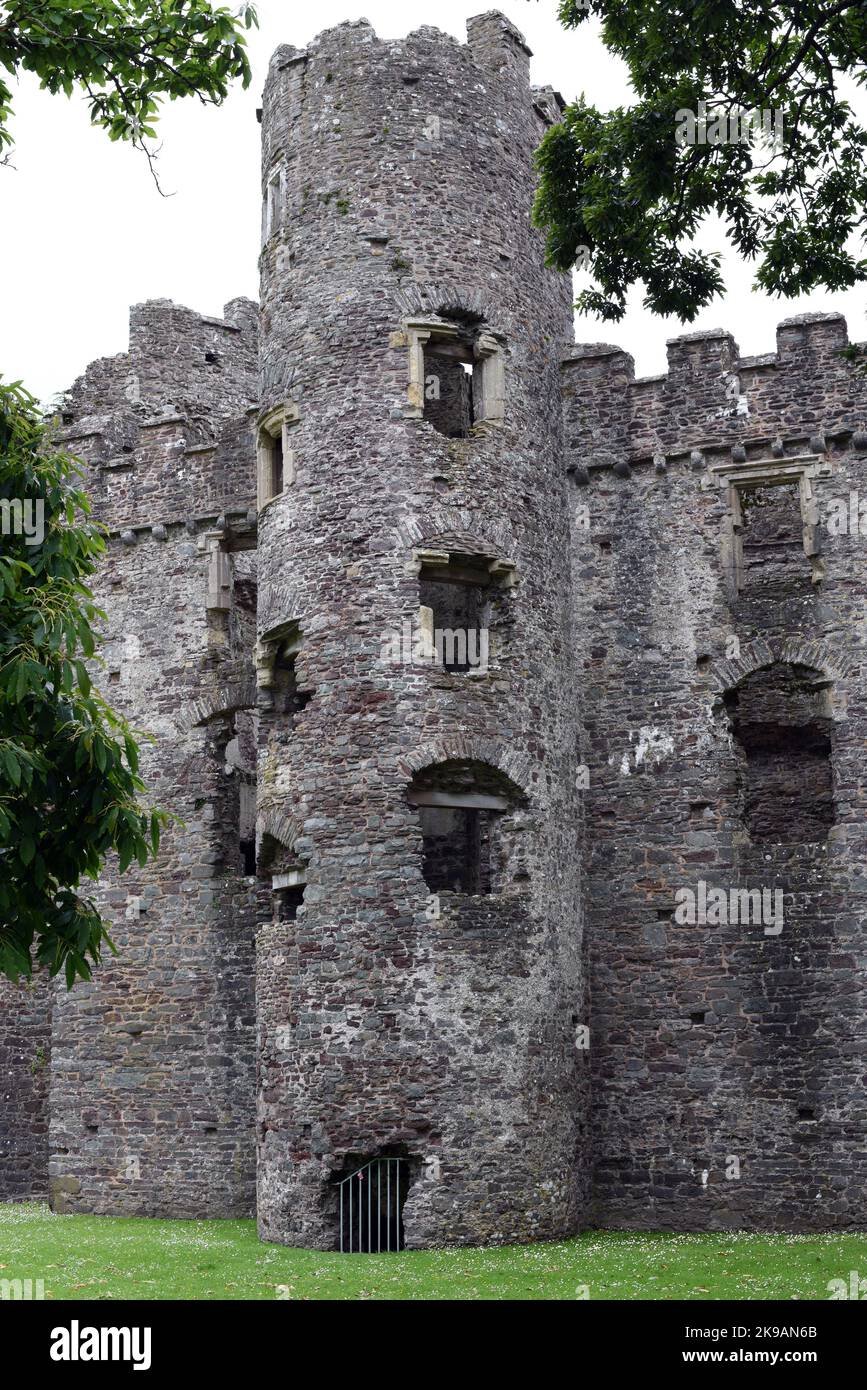 Ein Spaziergang durch Laugharne Castle in Carmarthenshire, bei dem Sie interessante Aufnahmen machen. Nummer 4032 Stockfoto