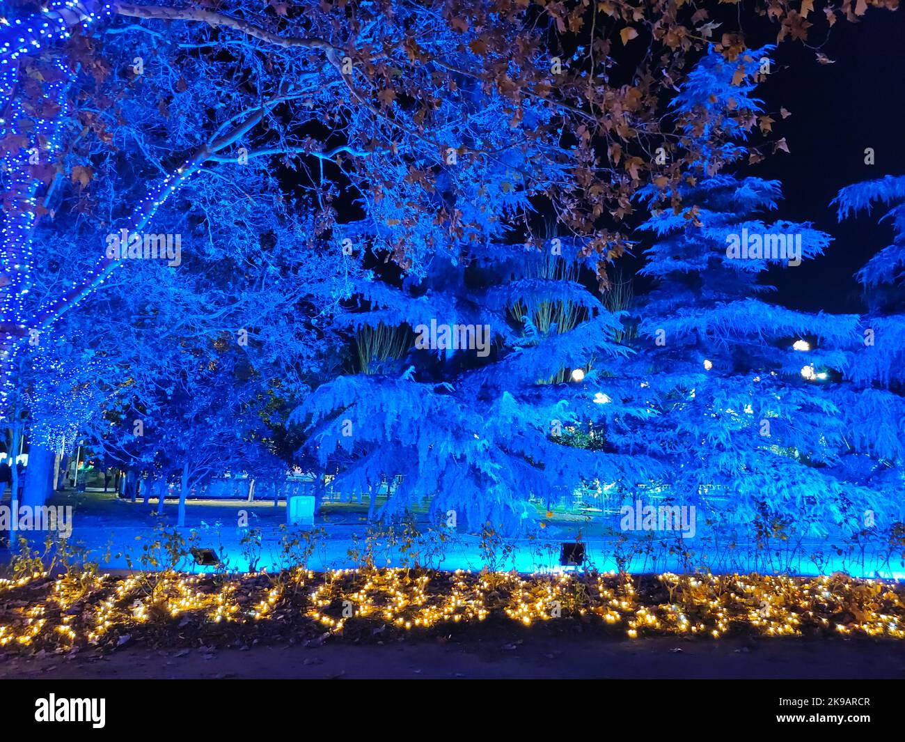 Bäume, die nachts in der weihnachtsdekoration von torrejon de ardoz, madrid, spanien, blau beleuchtet sind Stockfoto