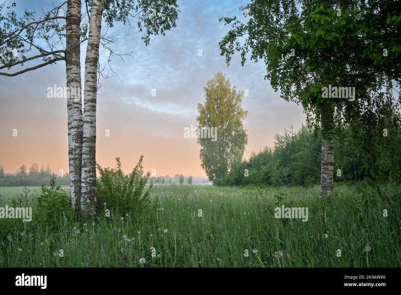 Eine ländliche Frühlingslandschaft vor Sonnenaufgang. Erschossen in Estland, Nordeuropa. Stockfoto