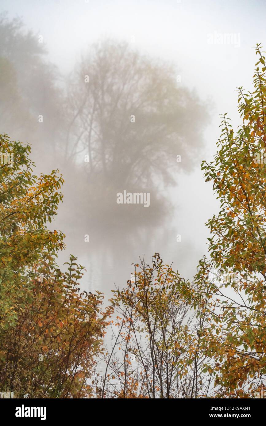 Nebliger Morgen und bunte Bäume über dem See. Stockfoto