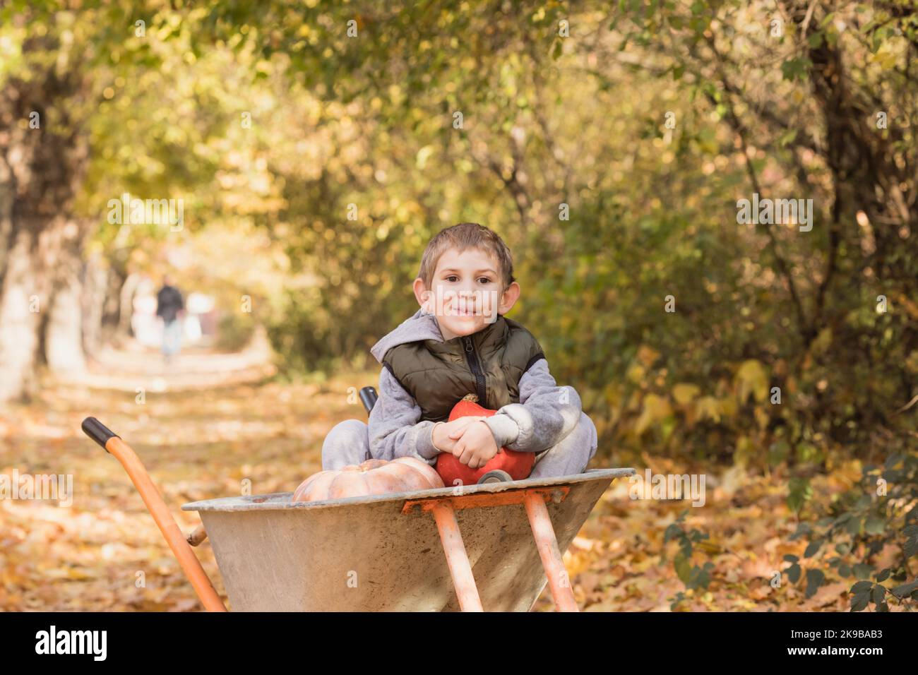 Boy hat Spaß in der Schubkarre mit Kürbissen Stockfoto