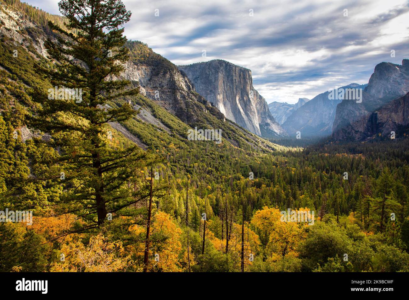 Das Yosemite Valley zeigt seine Herbstfarben, bevor der Winter eingeht. Yosemite National Park, Kalifornien. Stockfoto