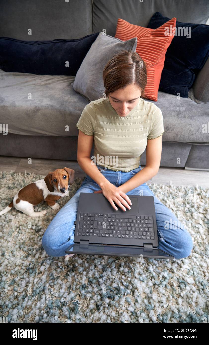 Junge Frau, die zu Hause vor dem Sofa auf dem Boden sitzt und an einem Laptop mit Hund neben ihr arbeitet Stockfoto