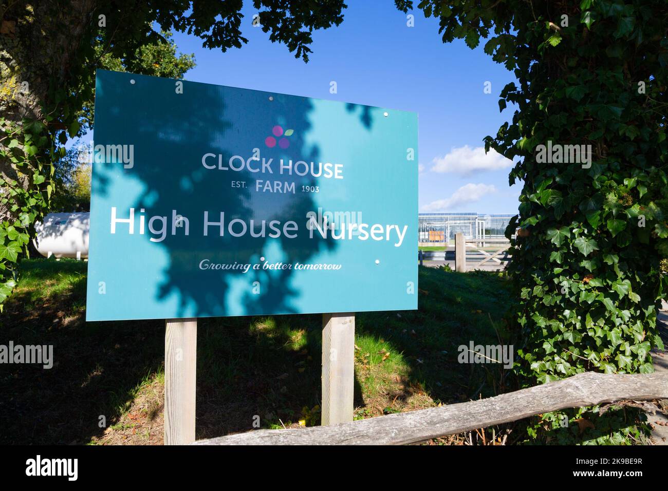 Clock House Farm, High House Kinderzimmer, wachsende ein besseres Morgen Zeichen, kent, großbritannien Stockfoto