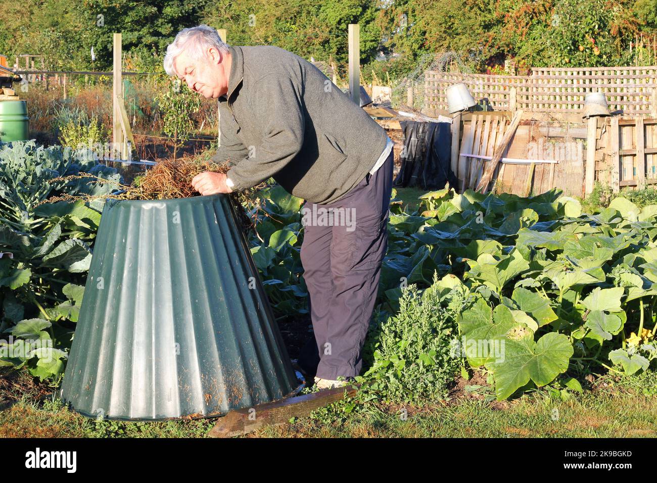 Mann, der pflanzliche Stoffe in einen Kompostbehälter legte, um Kompost für seinen Garten zu machen. Stockfoto