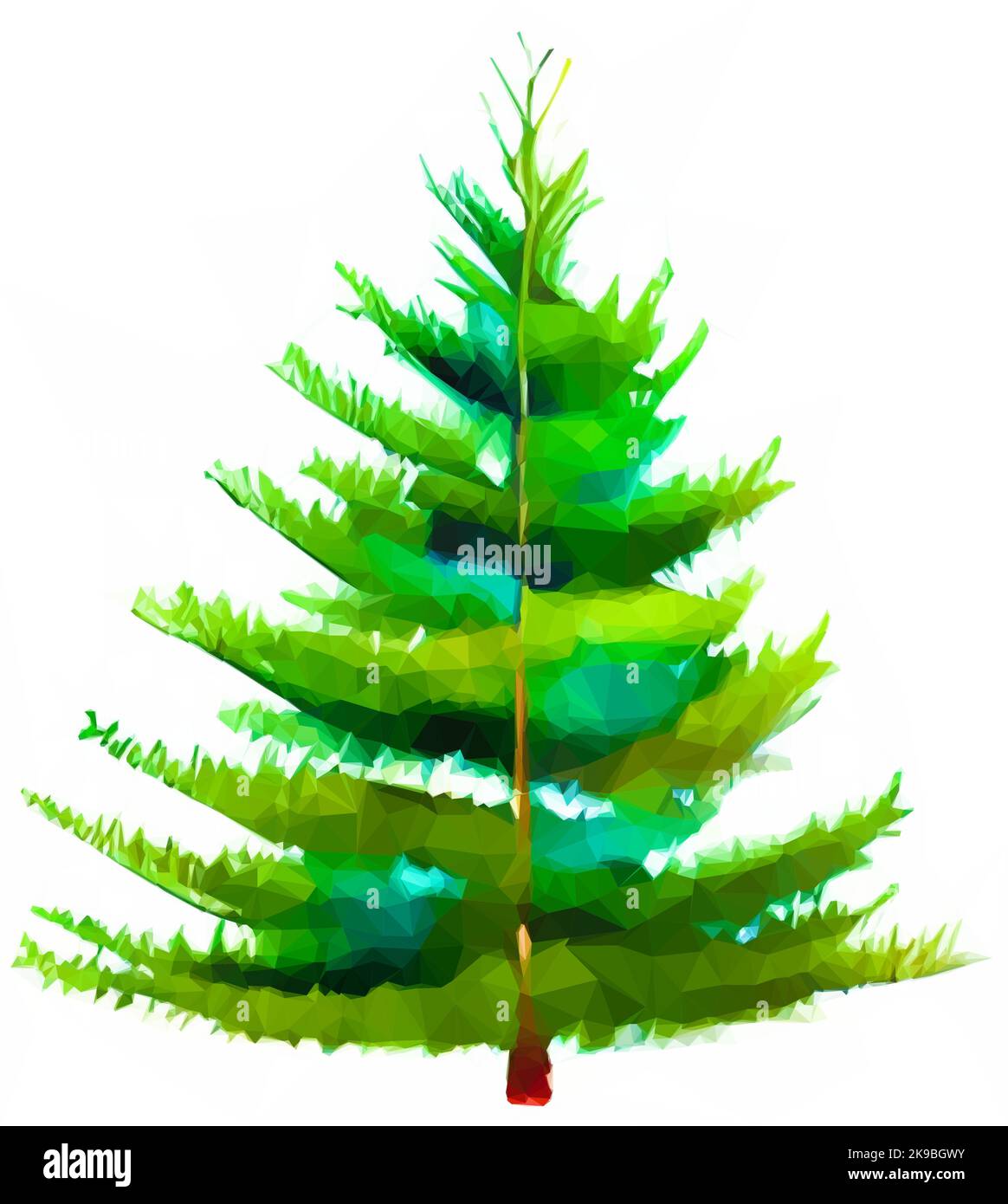 Fichte - weihnachtsbaum isoliert auf weiß. Aquarell Fichte als Vektor in Low Poly Art. Stock Vektor