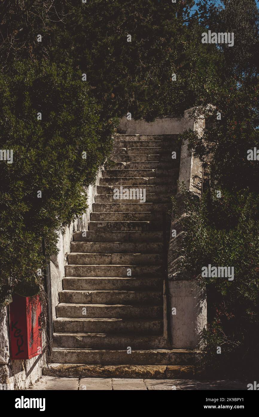 Die Betontreppe des Fußweges nach oben, die beidseitig mit grünen Bäumen bedeckt ist. Stockfoto