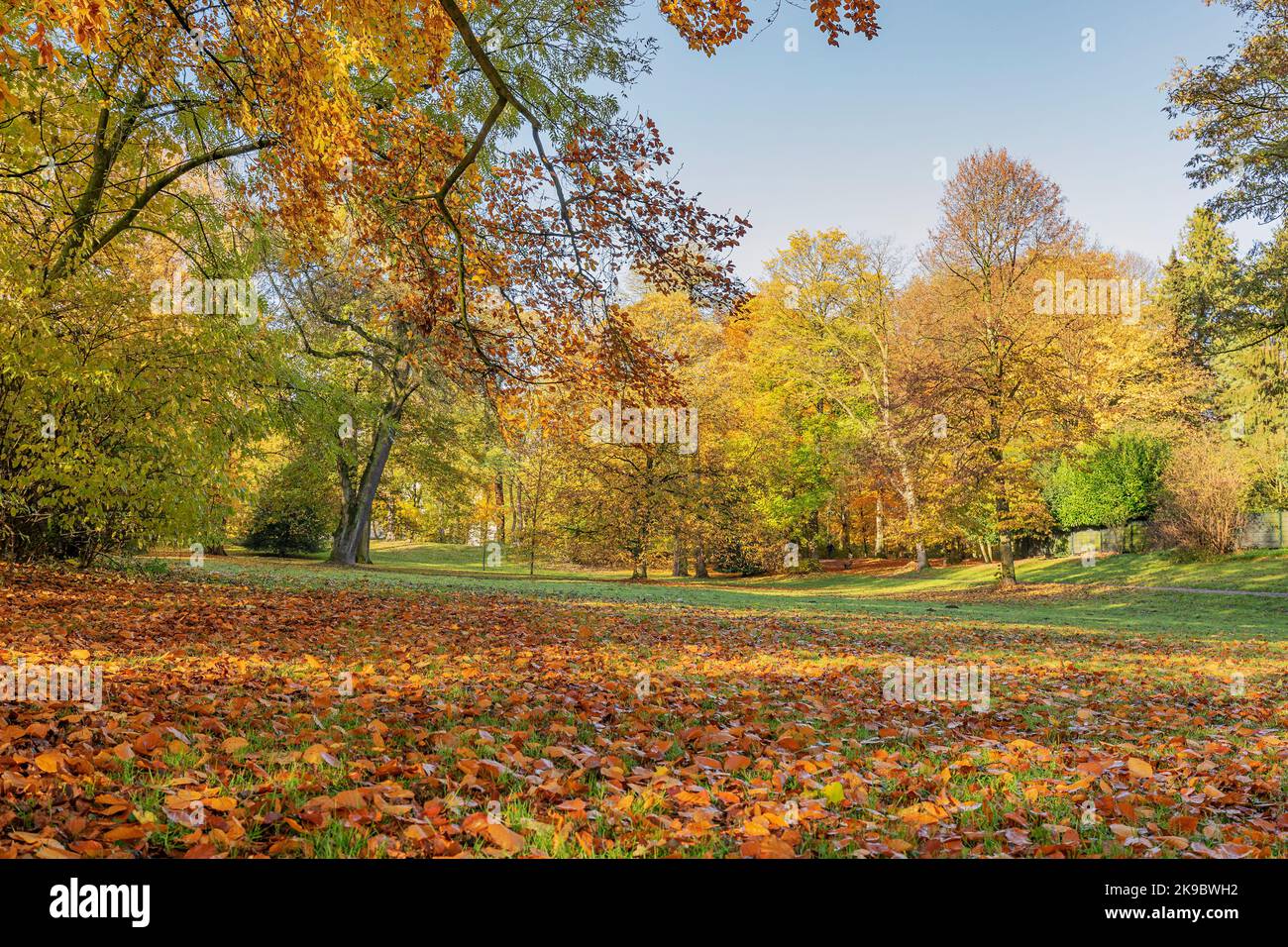 Krefeld park Fotos und Bildmaterial in hoher Auflösung Alamy