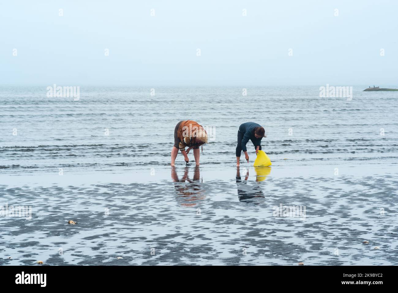 Yuzhno-Kurilsk, Russland - 03. August 2022: Bei Ebbe sammeln die Menschen Muscheln am Ufer vor dem Hintergrund des Hafens und der Fischverarbeitungsanlage Stockfoto