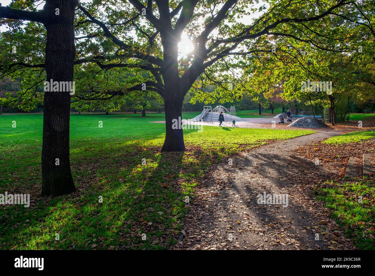 München Park Hirschgarten im Herbst Stockfoto