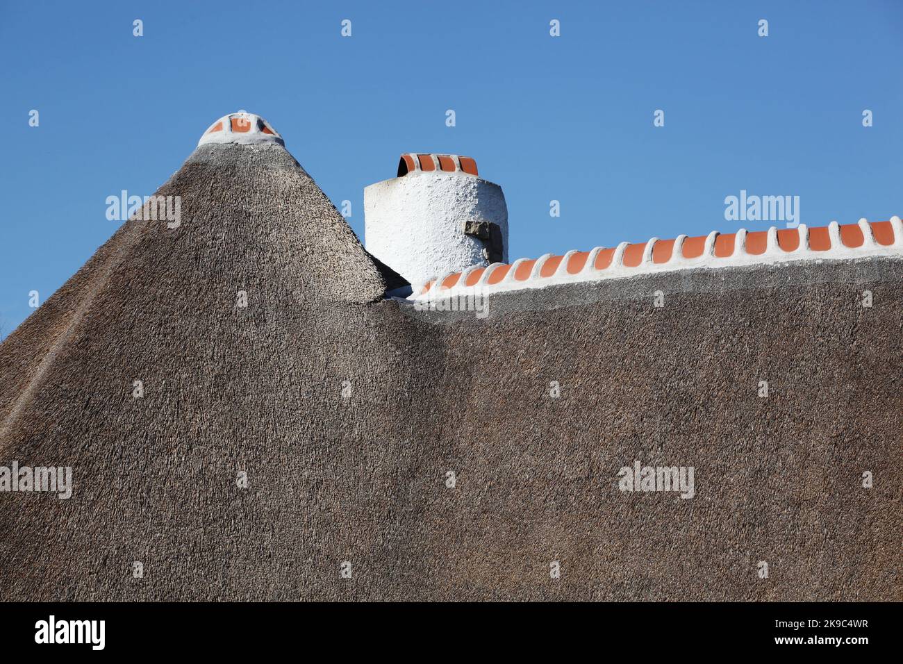 Reetdach auf einem Haus in Frankreich Stockfoto