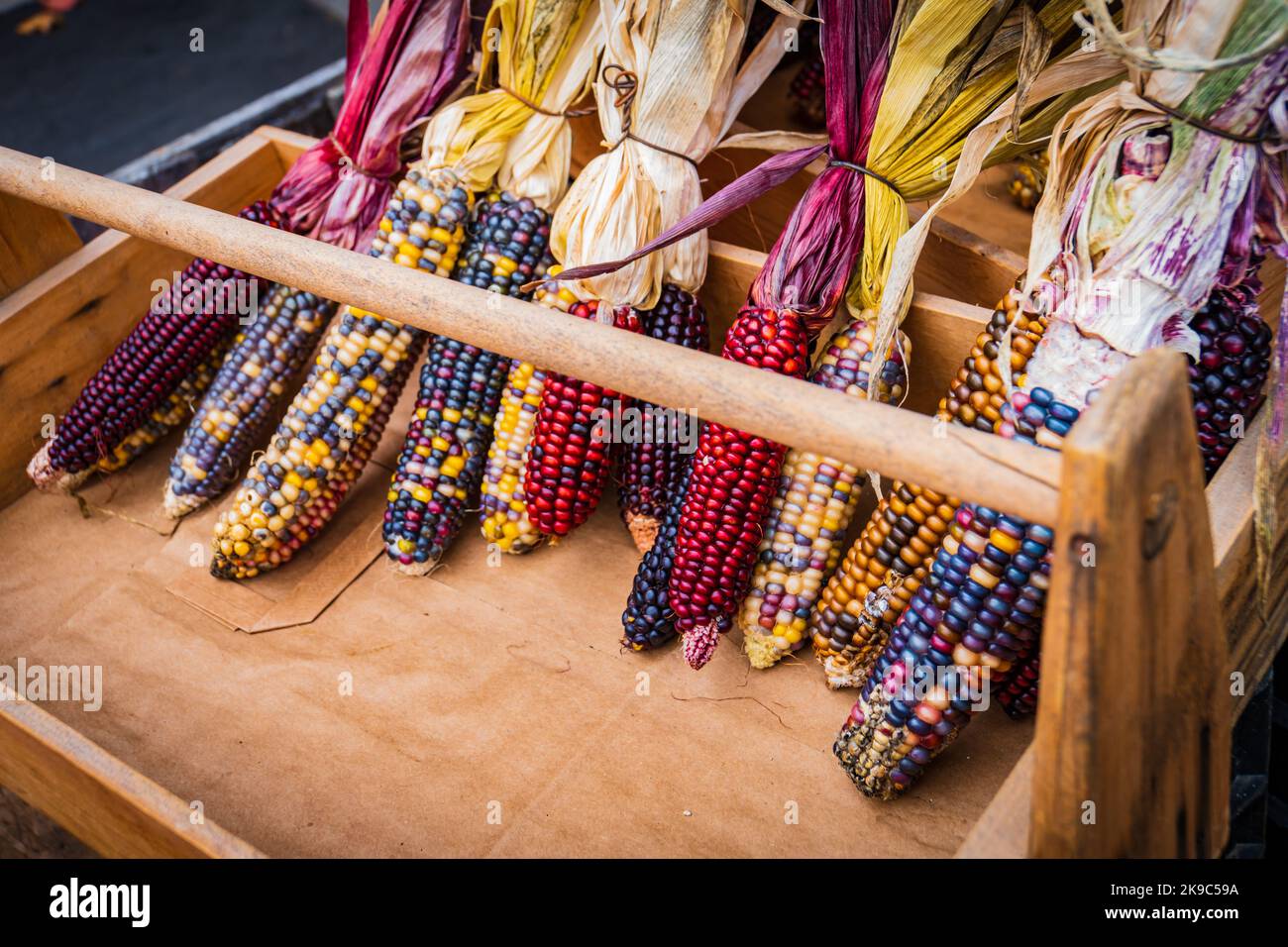 Dekorativer indischer Mais mit vielen farbigen Körnern und Schalen in einem Holztablett Stockfoto