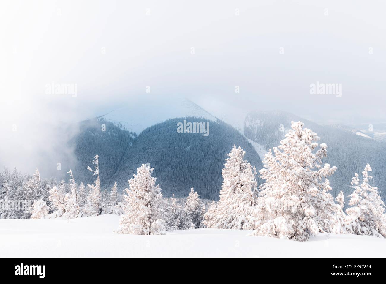 Fantastische Winterlandschaft mit verschneiten Bäumen und schneebedeckten Gipfeln. Karpaten, Ukraine. Weihnachten Urlaub Hintergrund. Landschaftsfotografie Stockfoto