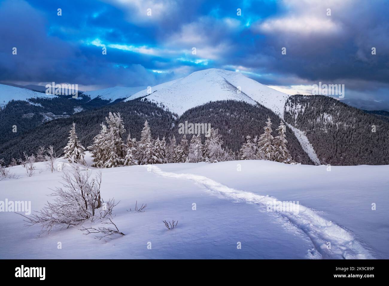 Fantastisches Winterlandschaftspanorama mit verschneiten Bäumen und verschneiten Gipfeln. Karpaten, Ukraine. Weihnachten Urlaub Hintergrund. Landschaftsfotografie Stockfoto