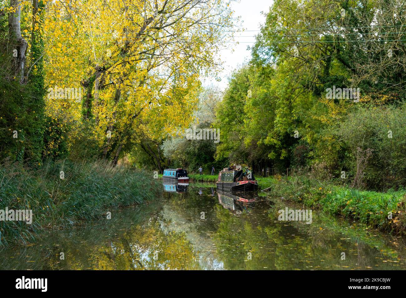 Ein malerischer Blick auf traditionelle Schmalboote auf einem bewaldeten Abschnitt des Kennet und des Avon Canal in der Nähe von Seend, England. Stockfoto