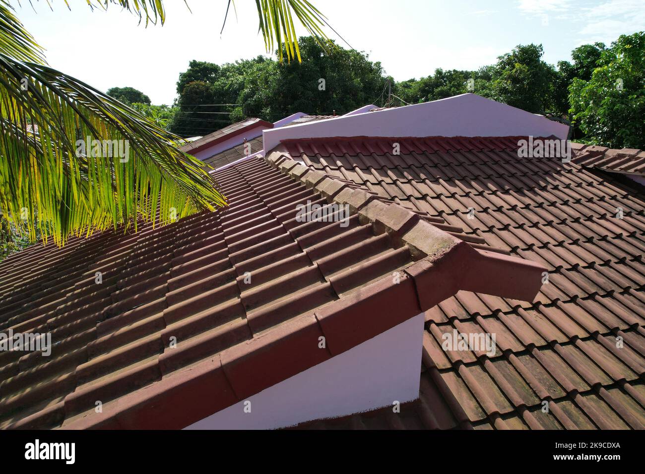 Altes Lehmdach mit roten Ziegeln und Palmen um das Haus herum Stockfoto