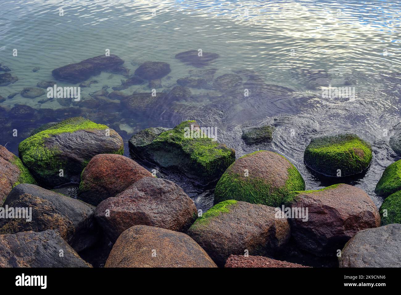 Moosbedeckte Steine ragen in Polen aus dem Wasser Stockfoto