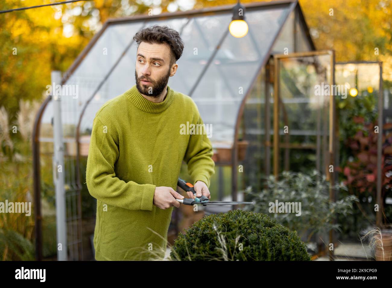 Guy schneidet einen runden Busch mit einer Schere Stockfoto