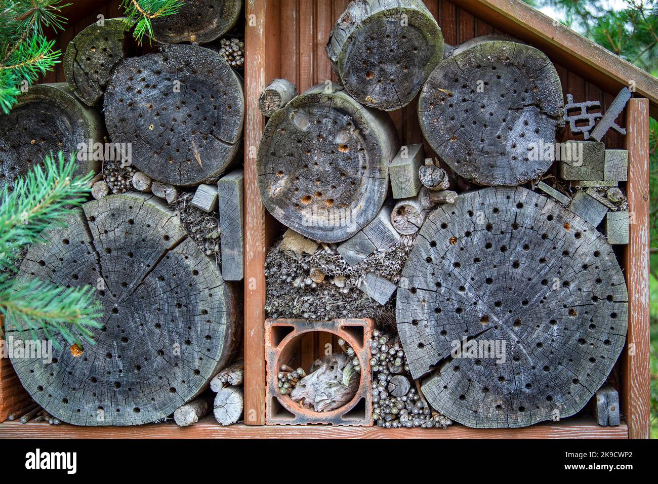 Insektenhaus, Löcher im Wald, in dem Insekten leben. Künstlich geschaffenes Haus für Insekten Stockfoto