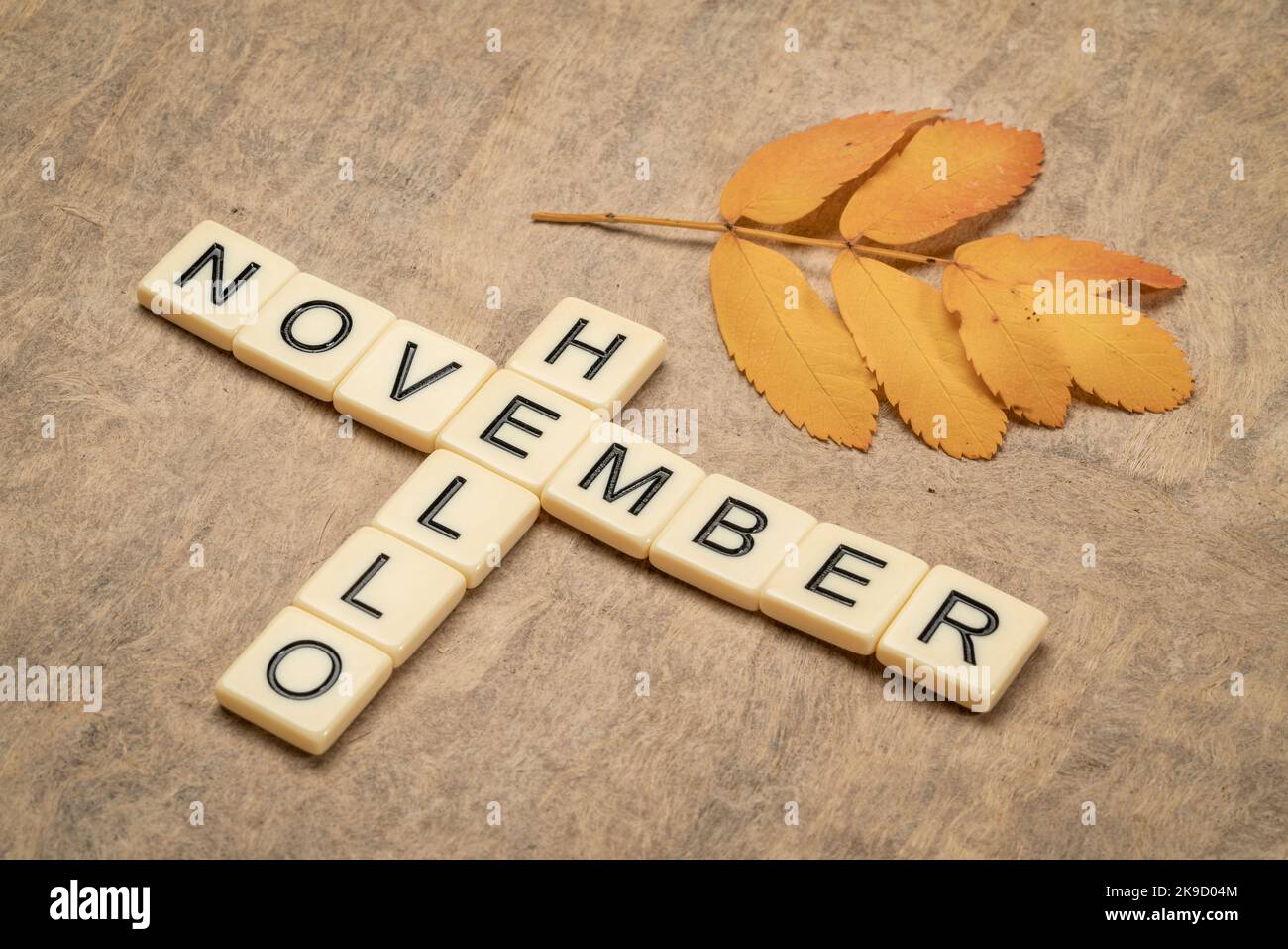 Hallo November Kreuzworträtsel in Elfenbein Buchstaben Blöcke mit einem gelben Blatt, Herbst Urlaub Konzept Stockfoto
