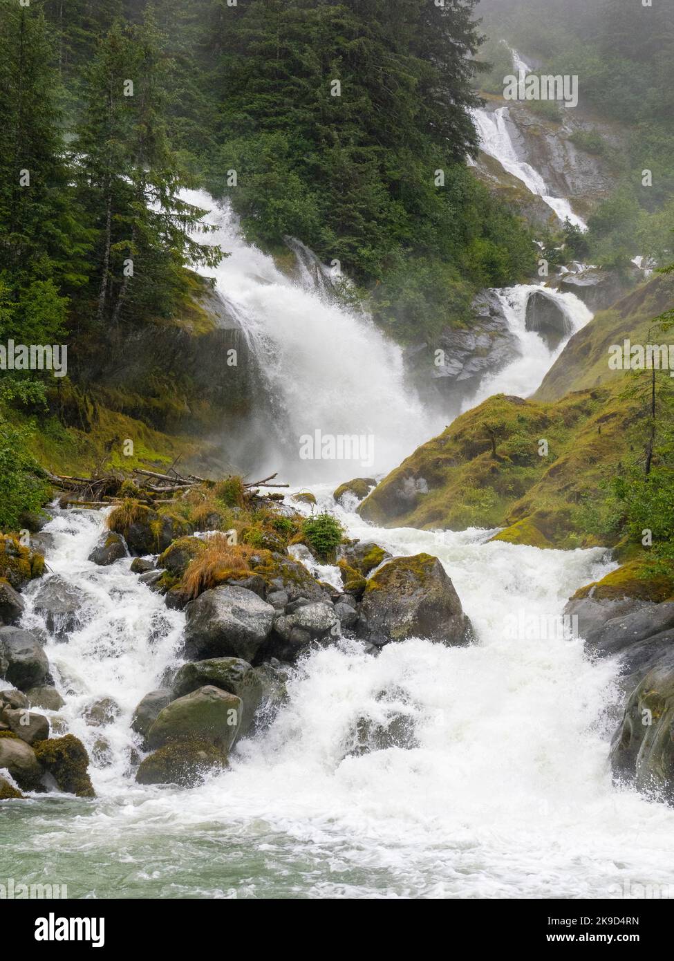Wasserfall, Tongass National Forest, Alaska. Stockfoto