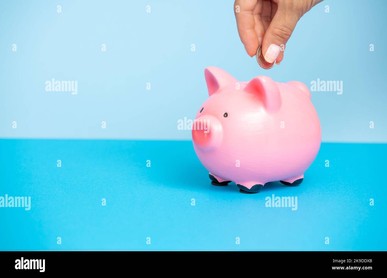 Person legt Geld in ein rosa Sparschwein auf einem blauen Hintergrund.Frauen Hände legen Münzen in eine Geldbox.Sparschwein mit Stapel von Münzen.das Konzept der Stockfoto