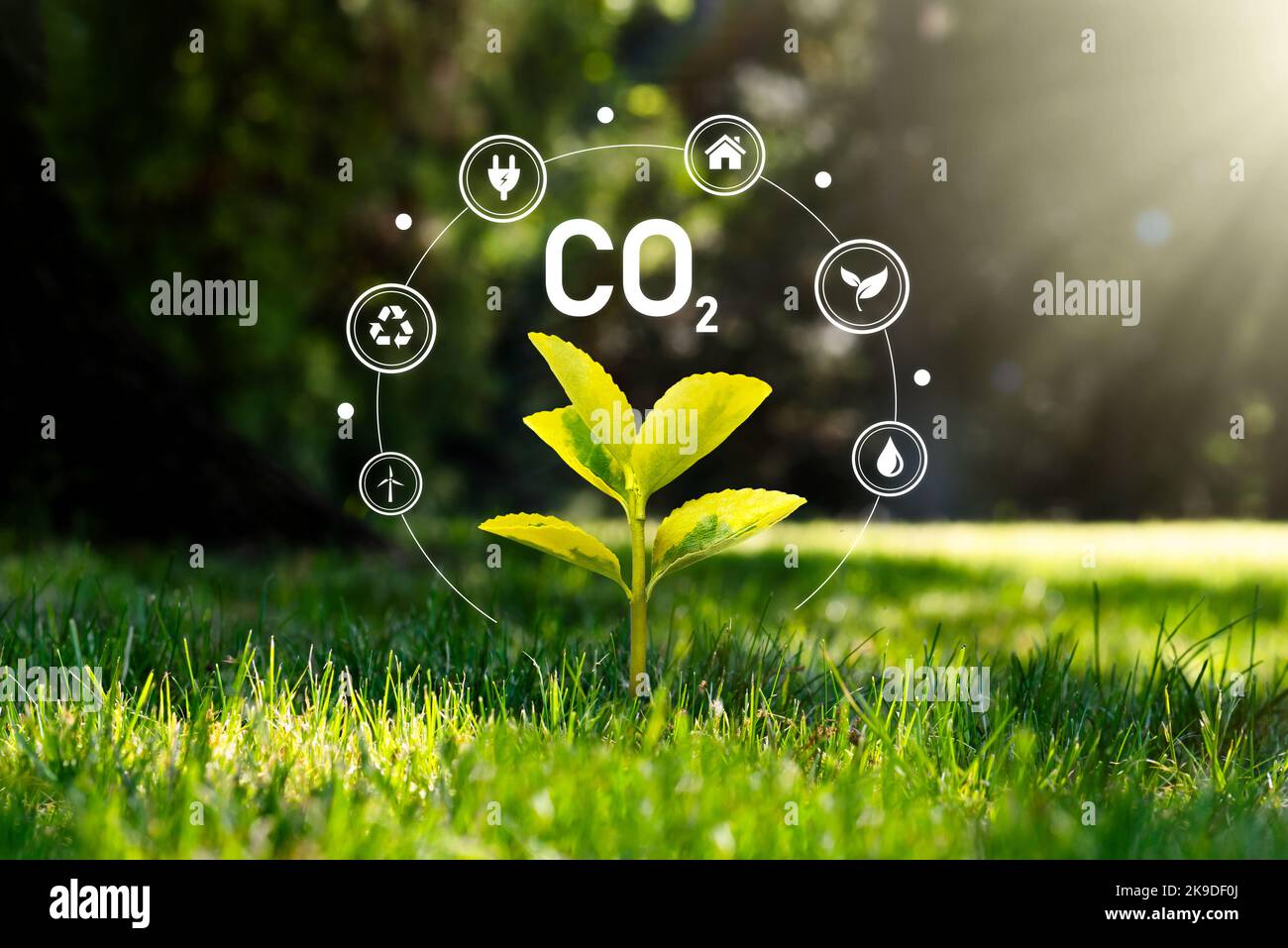 Kohlendioxid, CO2 Emissionen, CO2-Fußabdruck-Konzept Stockfoto