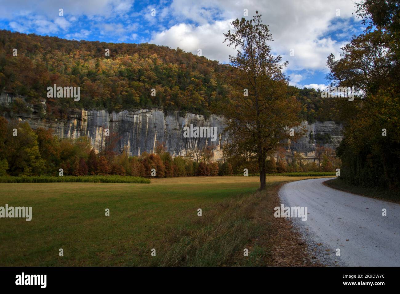 Sonnenuntergangsfoto im Herbst, wenn die Bäume am Roark Bluff im Steel Creek Campground entlang des Buffalo River im Ozark Mountai ihre Farbe wechseln Stockfoto