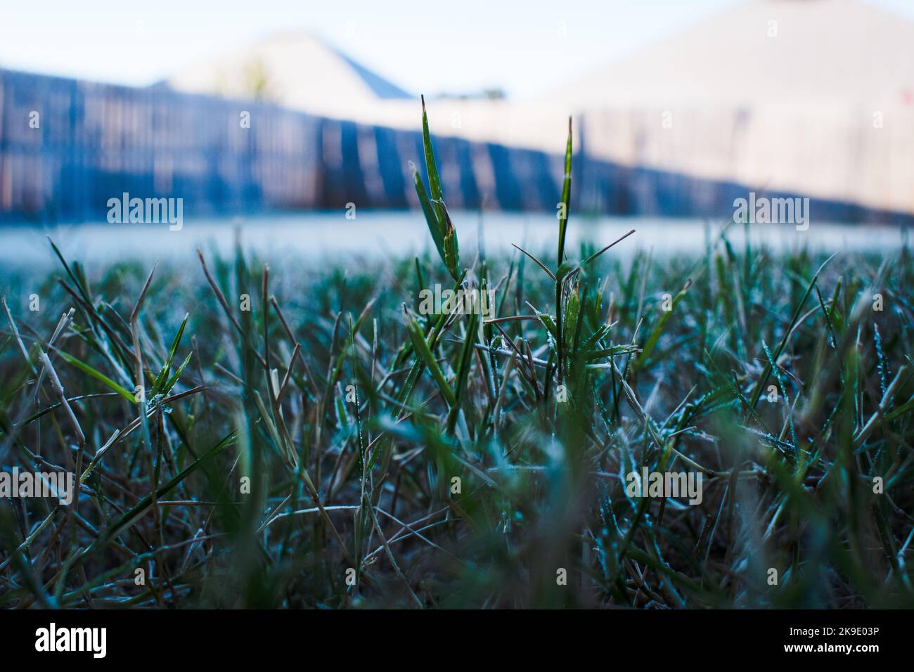 Erster Frost der Saison auf dem Land Stockfoto