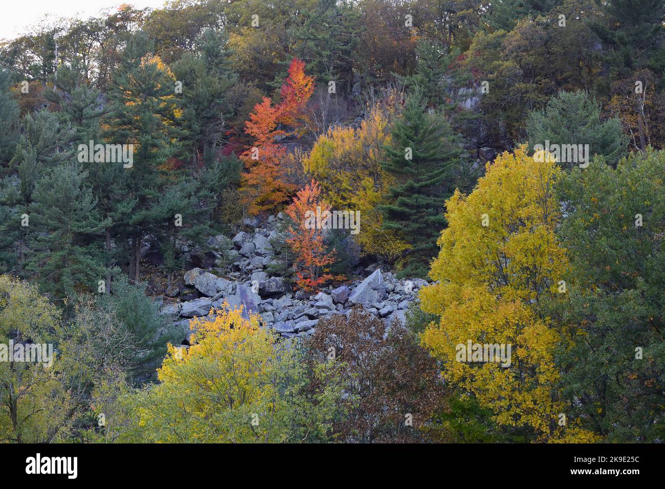 Ein Herbstnachmittag im Devil's Lake State Park in der Nähe von Baraboo, WI Stockfoto