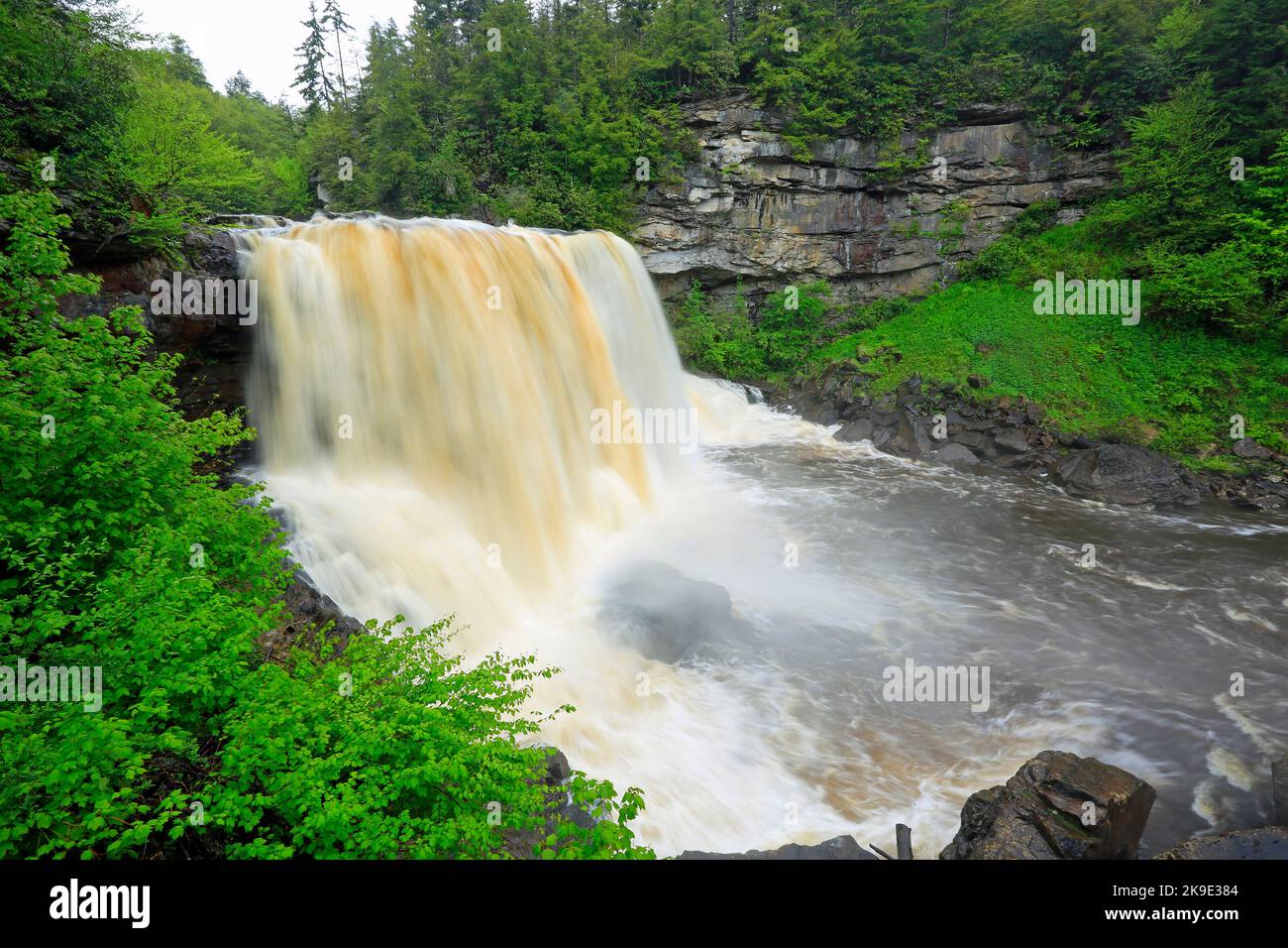 Grüne Landschaft mit Blackwater Falls - West Virginia Stockfoto