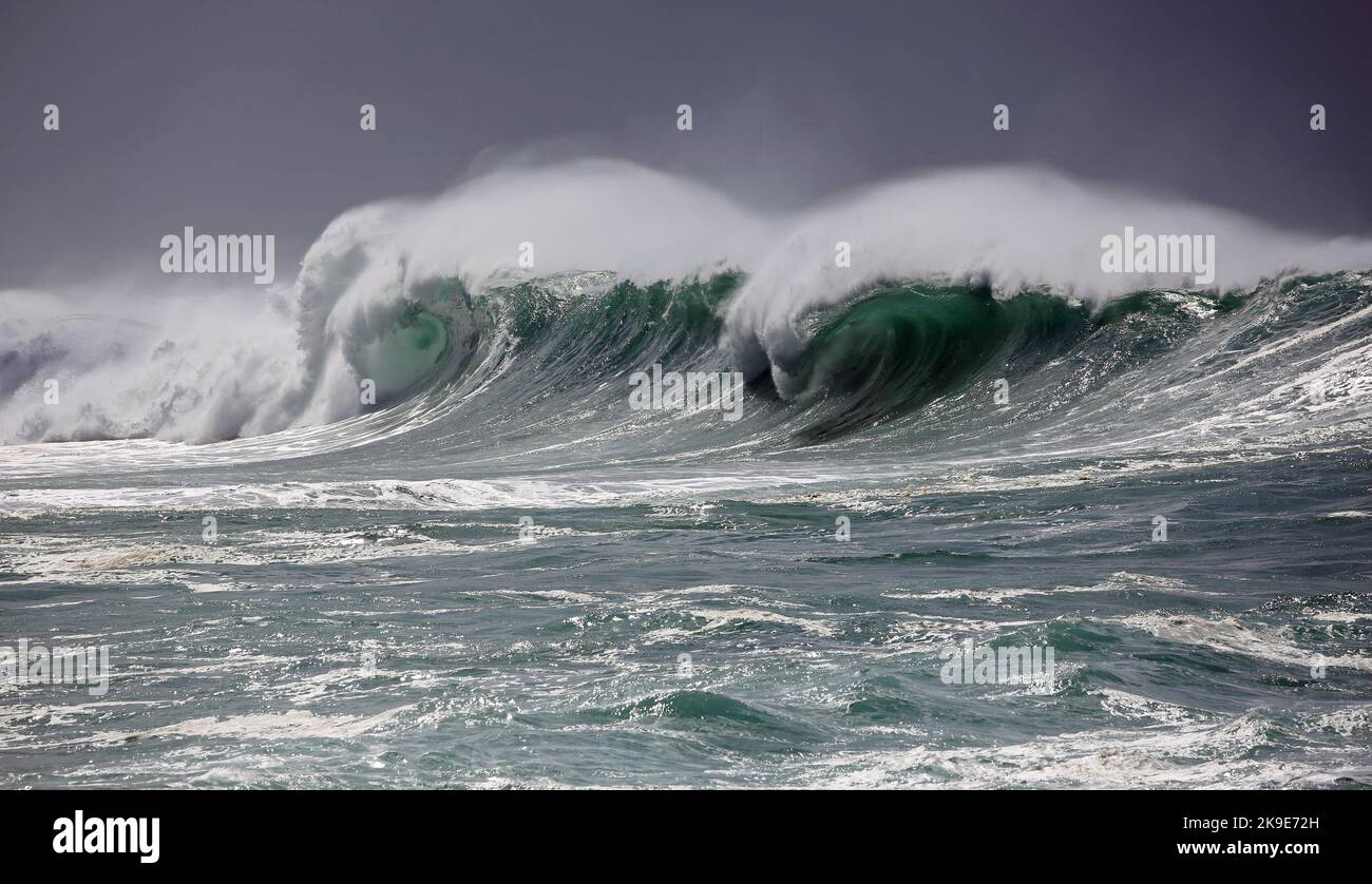 Hübsche Wellen - Hawaii Stockfoto