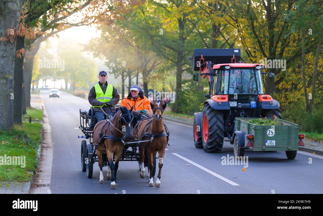 Hansen, Deutschland. 27. Oktober 2022. Klaus-Dieter Gärtner (r), gibt den Kursteilnehmern Johannes Hände (l) und Karin Ludwig (hinten auf dem Wagen) Tipps zum Fahren mit den Ponys während des Kurses für den Führerschein A. Wer einen Wagen fährt, kann vieles falsch machen. Damit es weniger Unfälle gibt, wurde der Führerschein eingeführt. Quelle: Philipp Schulze/dpa/Alamy Live News Stockfoto