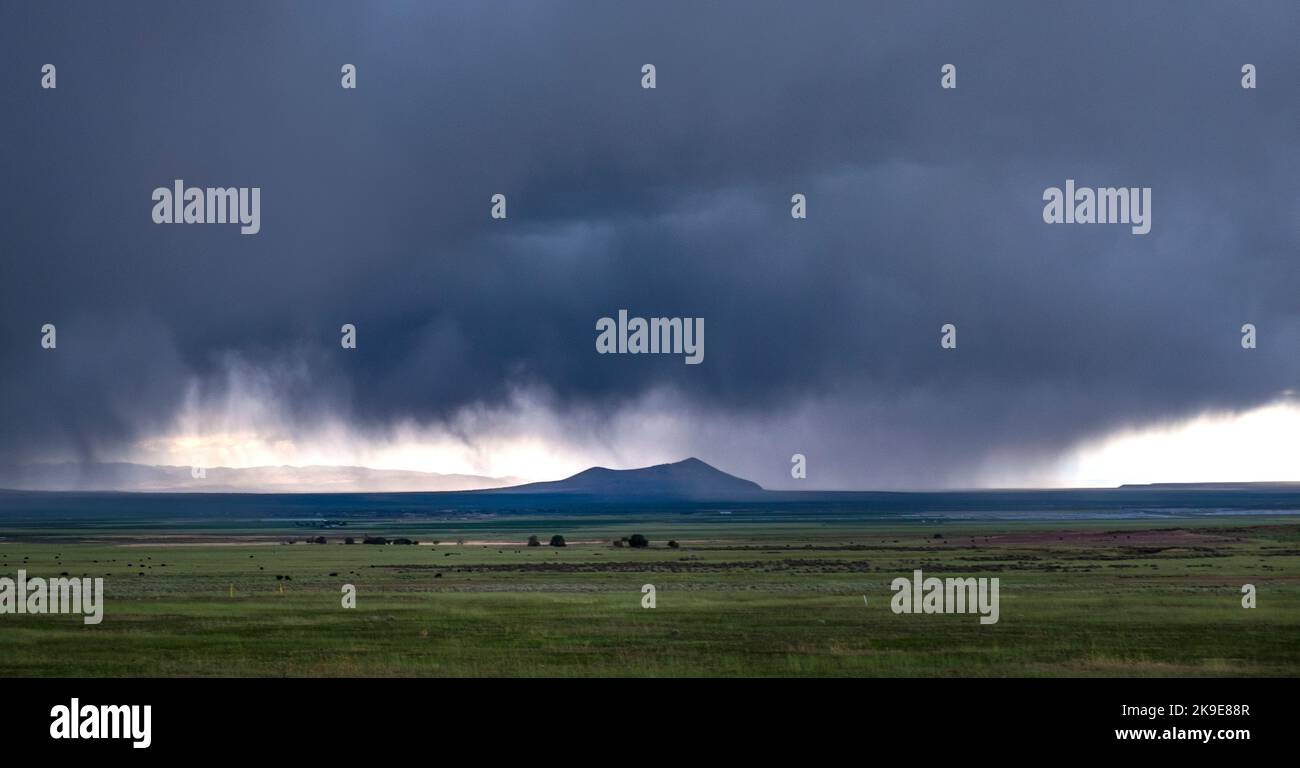 Vorbeiziehende Regenstürme, Utah, in der Nähe des Great Basin, grüne Frühlingslandschaft, westliche USA Stockfoto