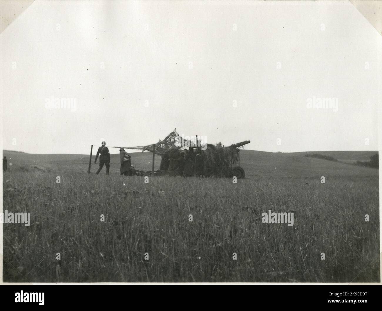 Militärmanöver in Skåne. Maskierte Kanone. Stockfoto