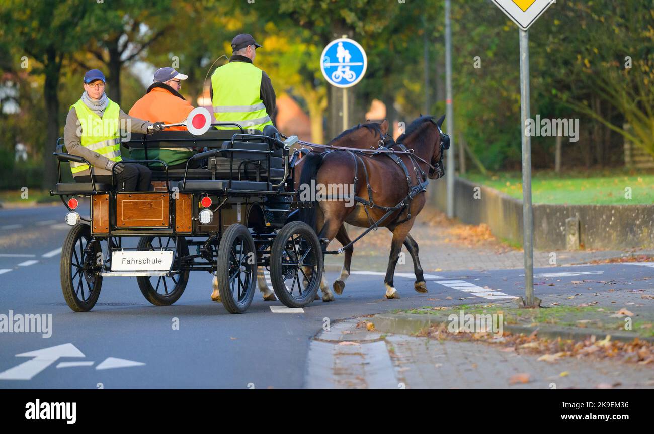 Hansen, Deutschland. 27. Oktober 2022. Klaus-Dieter Gärtner (M), gibt den Kursteilnehmern Johannes Hände (r) und Karin Ludwig (hinten auf dem Wagen) Anweisungen für das Kutschenfahren mit den Ponys während des Kurses für den Kutschenführerschein A. Ludwig zeigt das Wenden mit einer Kelle an. Wer einen Wagen fährt, kann viel falsch machen. Damit es weniger Unfälle gibt, wurde der Führerschein eingeführt. Quelle: Philipp Schulze/dpa/Alamy Live News Stockfoto