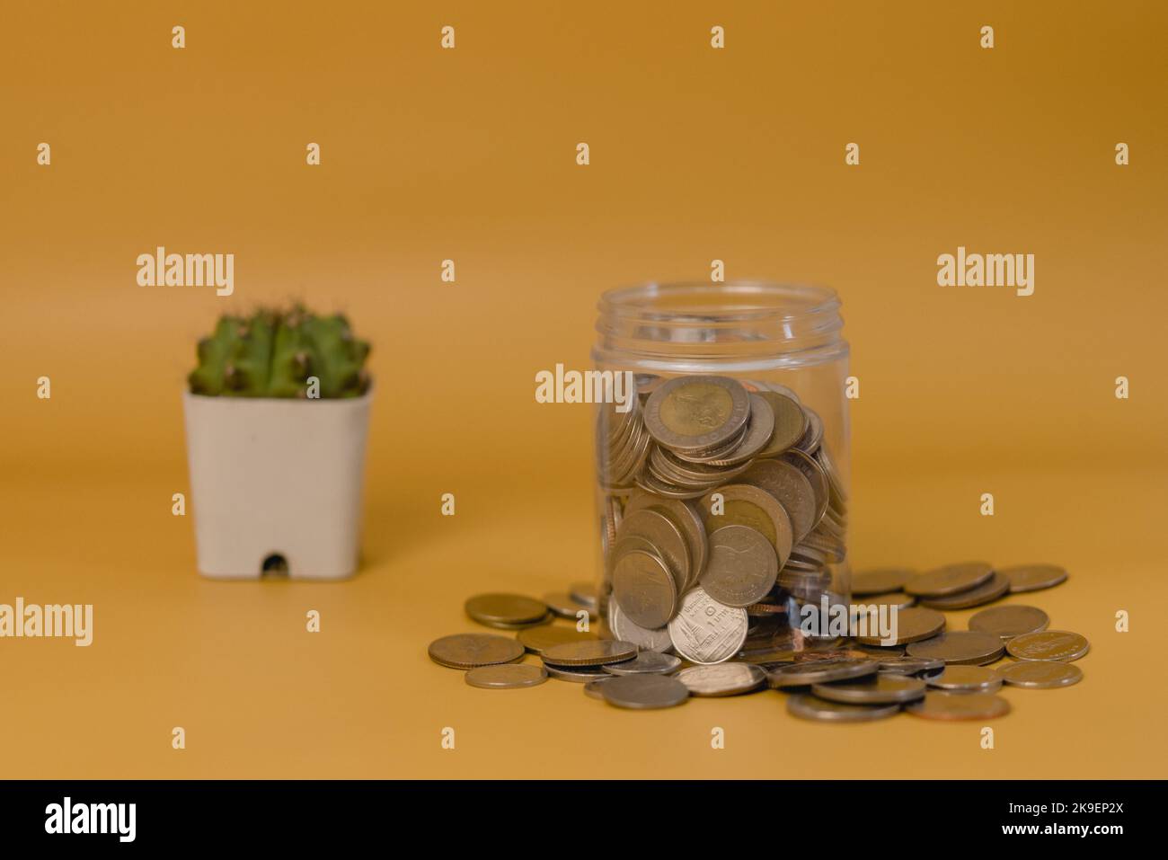 Geld sparen im Glas Bankwesen investieren in Versicherungs- und Rentenfonds und Kakteen auf gelbem Hintergrund. Stockfoto