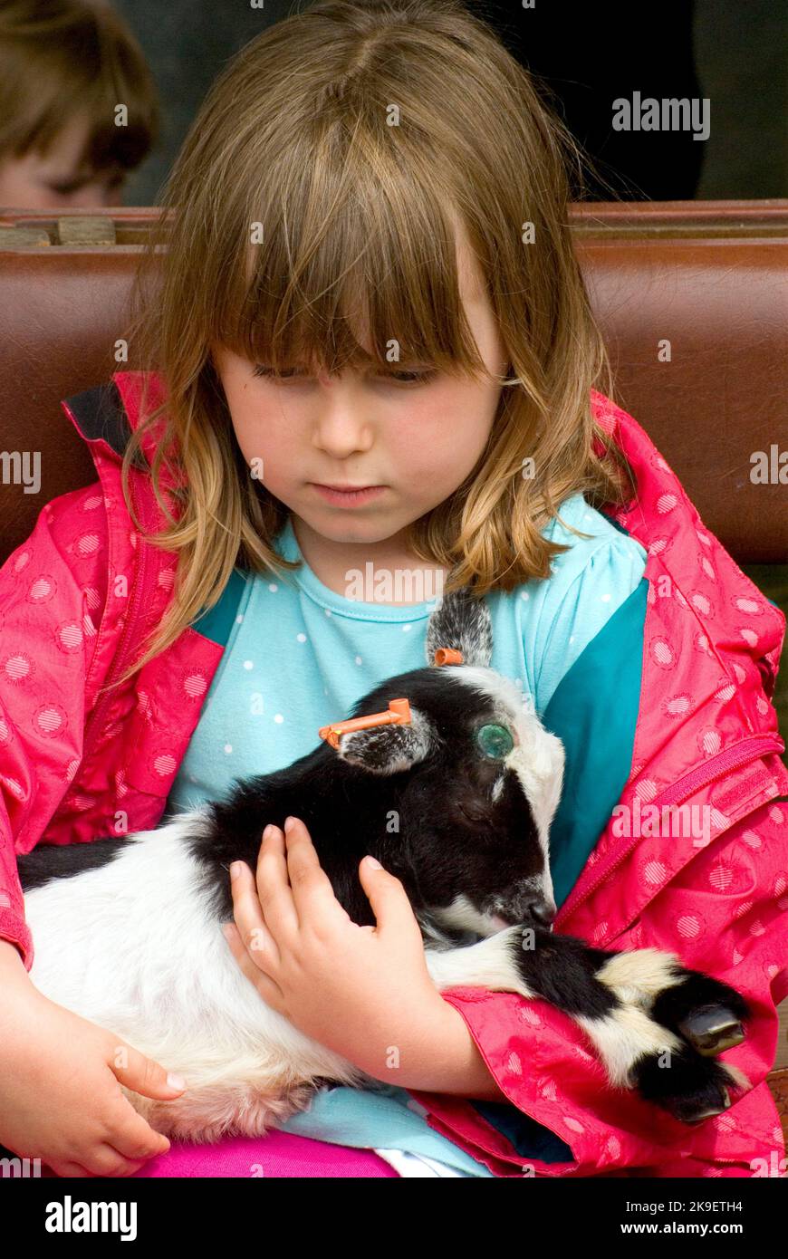 Kleines Mädchen, Das Kind Hält Stockfoto