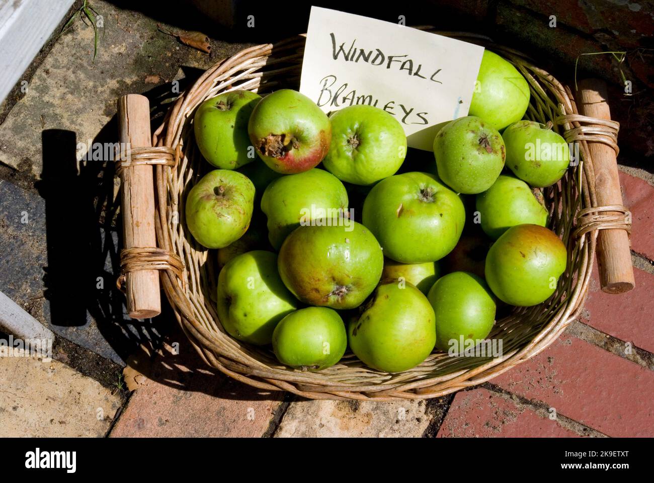 Windschlag Äpfel Stockfoto