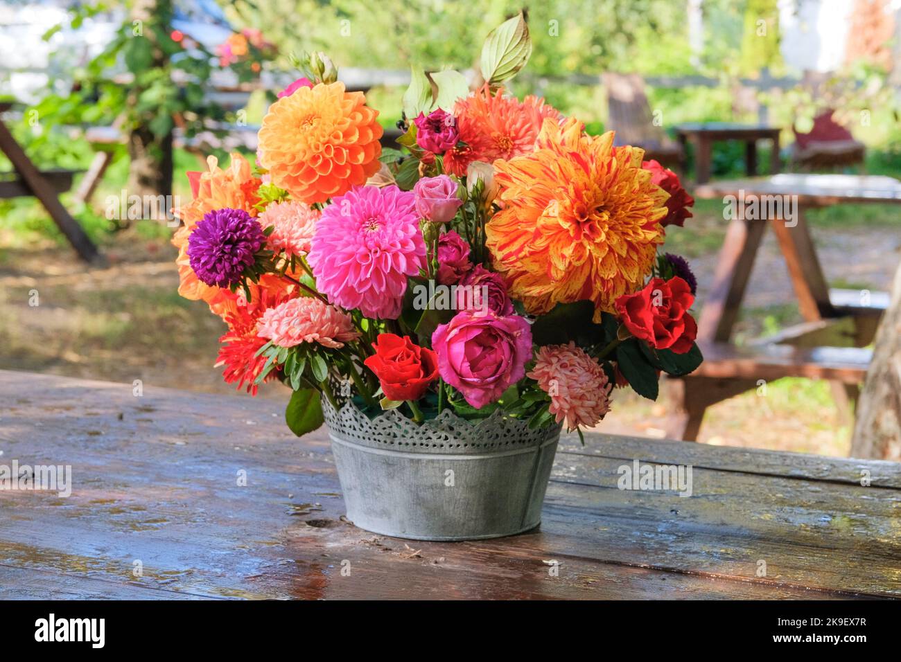 Bunte Blumen: rosen, Astern, Dahilia im Apfelgarten auf einem Holztisch. Helles, ländliches Design. Sonniger Tag. Stockfoto
