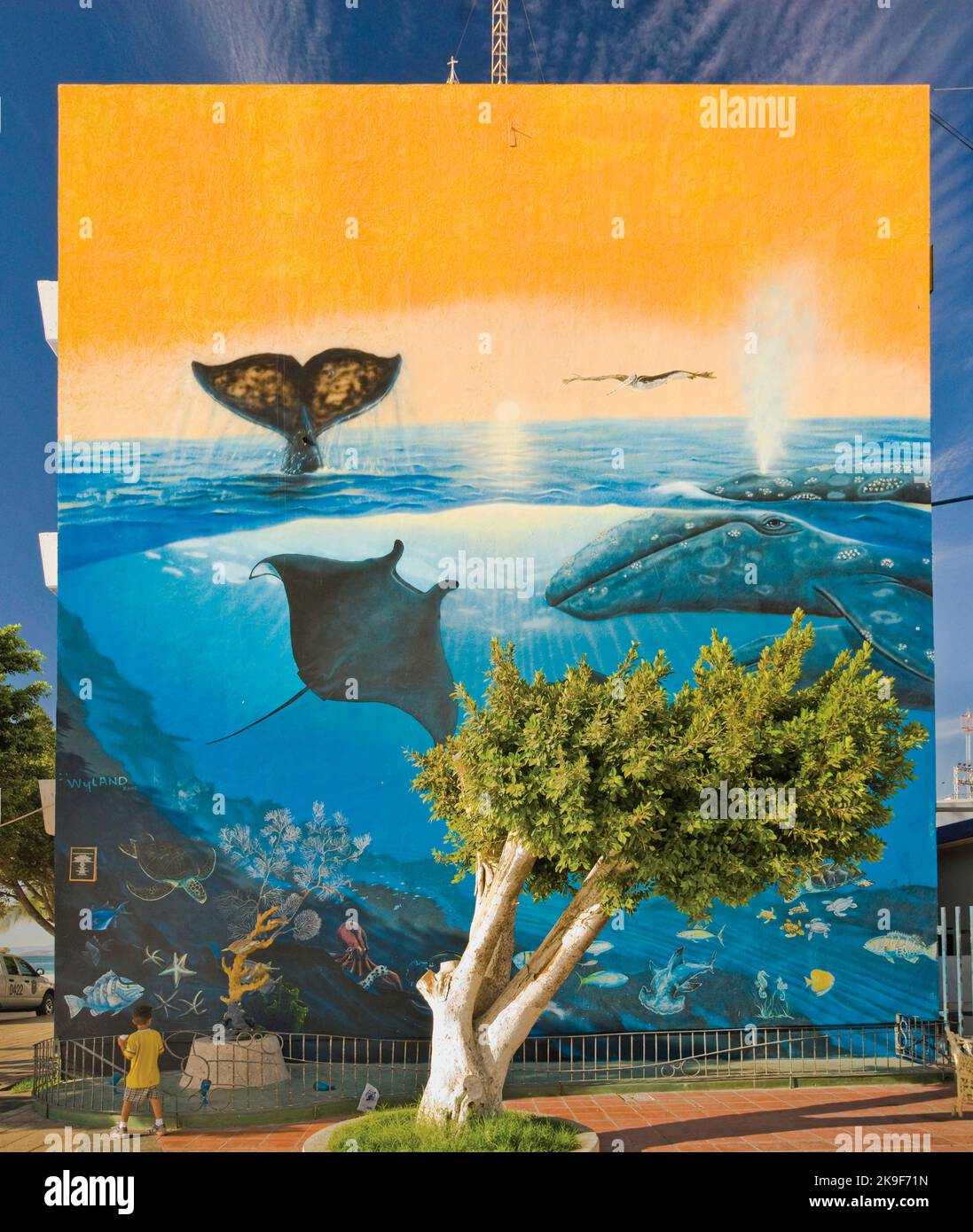 Sea of Cortez Wildlife Wandbild bei Gebäude von Michael Wyland, Malecon Promenade in La Paz, Baja California Sur, Mexiko Stockfoto