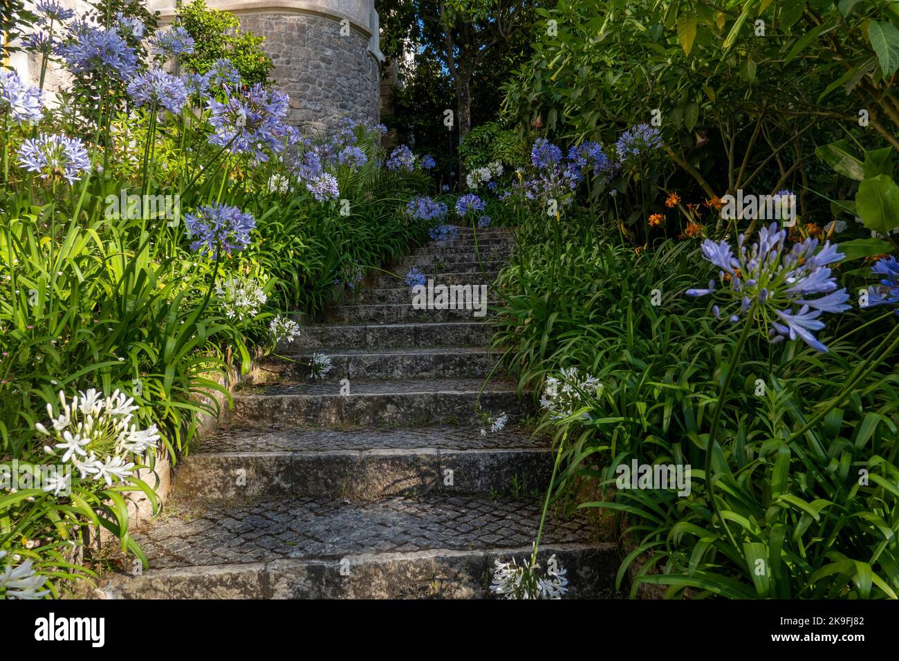 Luxuriöser Blick auf die wunderschöne Vegetation des Parks von Chalet Biester, Wahrzeichen in Sintra, Portugal. Stockfoto