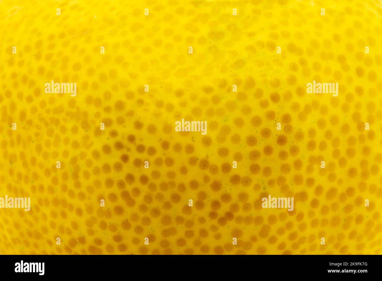 Hintergrund mit gelber Zitrusfrucht-Schale aus der Nähe Stockfoto